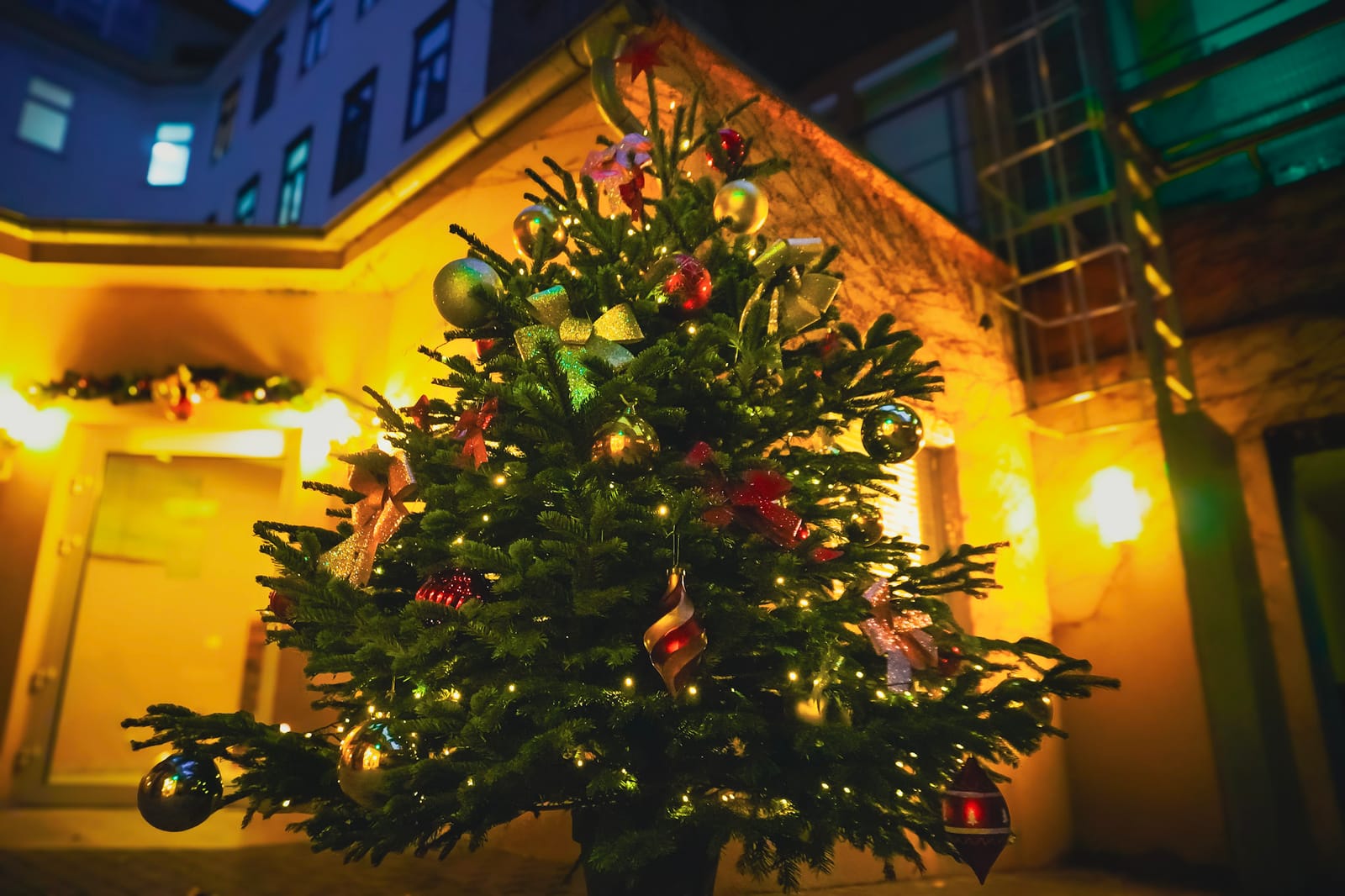 Christmas tree in the courtyard at night
